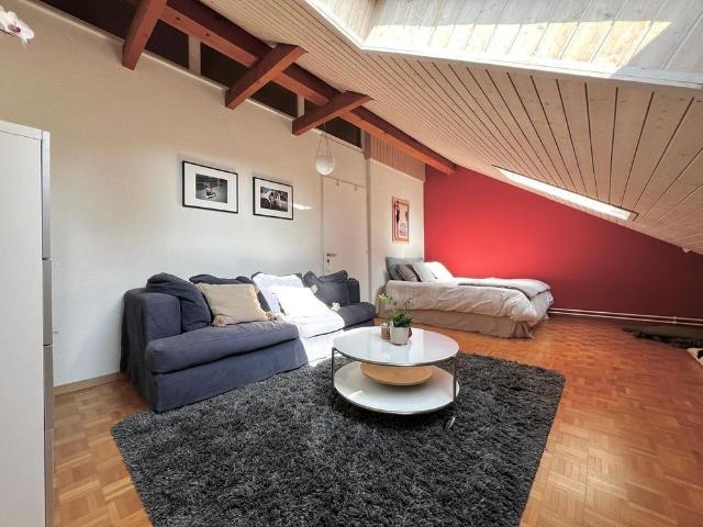 51/2 ROOM APARTMENT IN HERRLIBERG ZH, FURNISHED, TEMPORARY