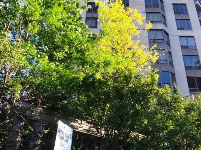 514 78 Harrison Garden Boulevard, North York | 1+1Beds/1Bath, Condo, $2,500/mo | Condos. Ca