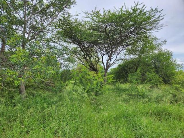 518 m² Land available in Hoedspruit