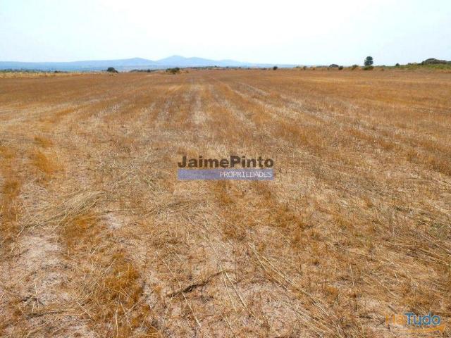 51.500m2 de TERRENO para agricultura. Portugal, Figueira de Castelo Rodrigo. | 26074062427