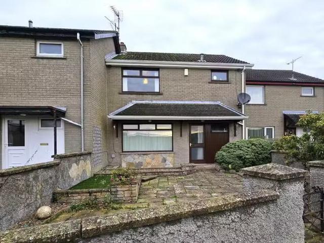 51 Millfield