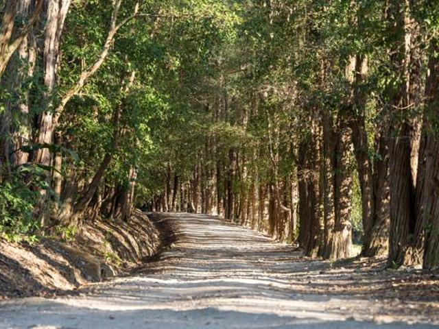 522 m² Land available in Margate