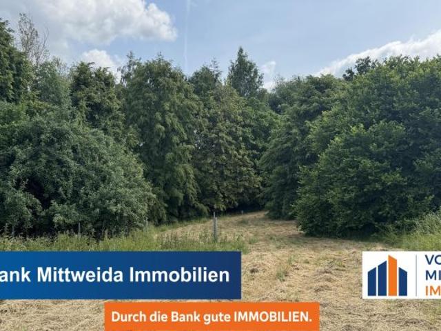 5260m² Großes Grundstück bebaut mit Scheune und Werkstatt Wald und Wiese!