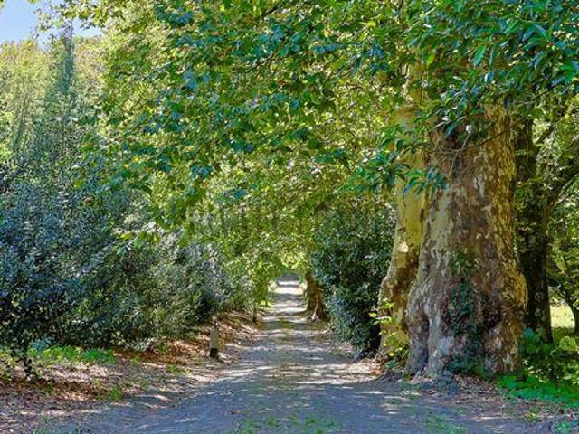 52 quarto, Sintra Lisboa LS82386670