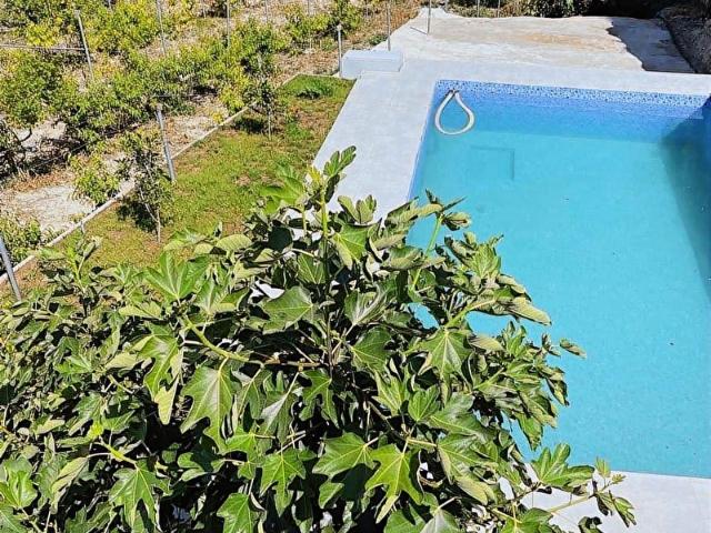 5300m2 İÇİNDE MUHTEŞEM KONUMDA VE MANZARALI 6+1 LÜX VİLLA