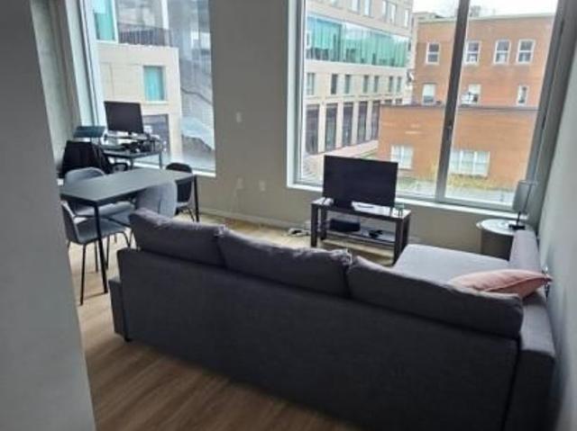 530 Rue St Hubert, app.204, H2Y 0B9, Montréal