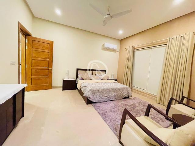 533 Yd² Basement for Rent