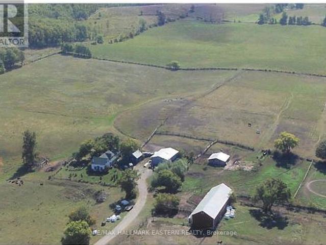534 Meadowview Road, Kawartha Lakes Emily, ON, K0L 2W0 farm for sale | Listing ID X13452 | Royal LePage