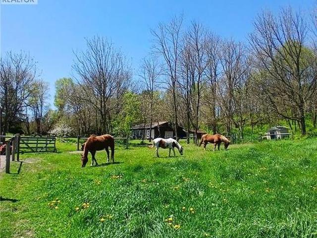 535 Mcdowell Road E, Simcoe, ON, N3Y 4J9 hobby farm for sale | Listing ID 40818 | Royal LePage