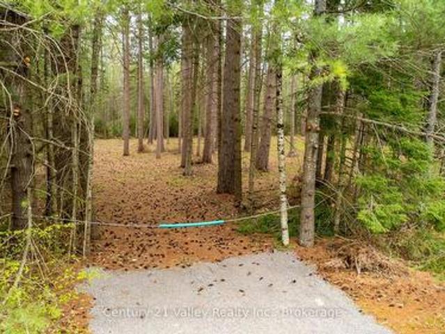 536 Pine Street, Greater Madawaska, ON, K0J 2R0 vacant land for sale | Listing ID X13023 | Royal LePage