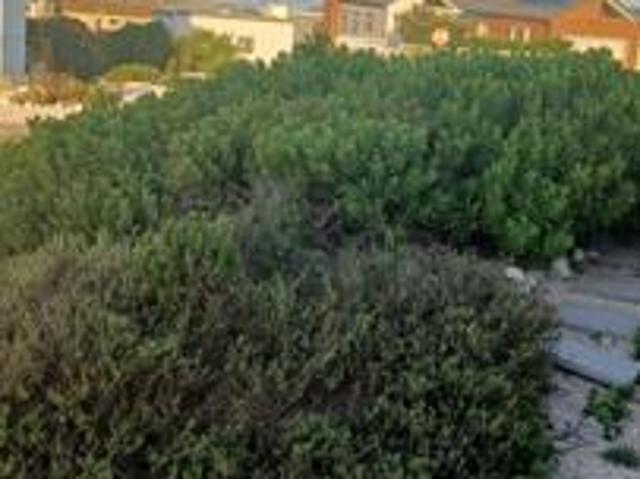 541 m² Land available in L Agulhas