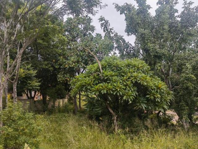 541 m² Land available in Nelspruit Mbombela Central