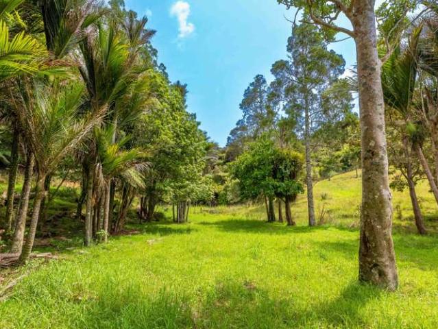 542 Duddy Road, Rawene, Far North