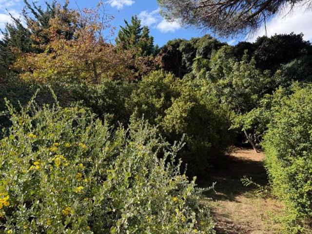 546 m² Land available in Constantia