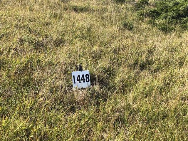 546 m² Land available in Kenton On Sea