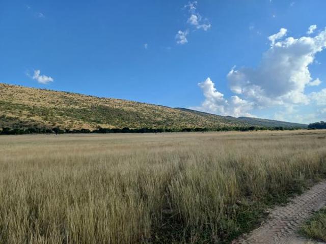 54 ha Land available in Bultfontein AH