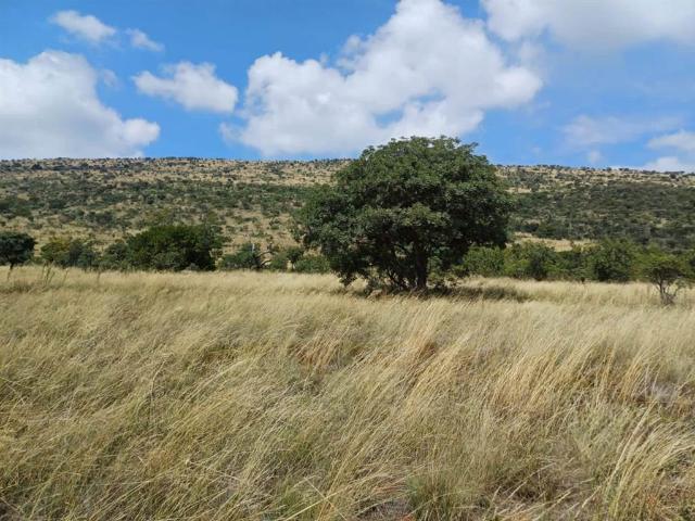 54 ha Land available in Hartbeespoort Dam