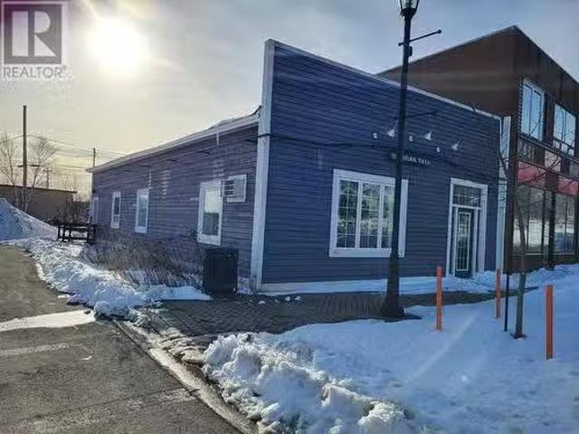 54 High Street, Grand Falls Windsor, NL, A2A 1C6 commercial.