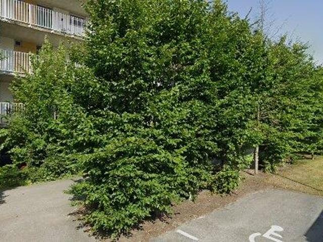 54 m2 lägenhet uthyres i Lund