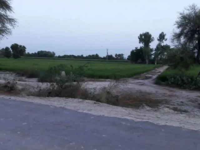 54 mrLa corner main road. Good location. Adda 351chkyawala pr Arifwala ID 61654