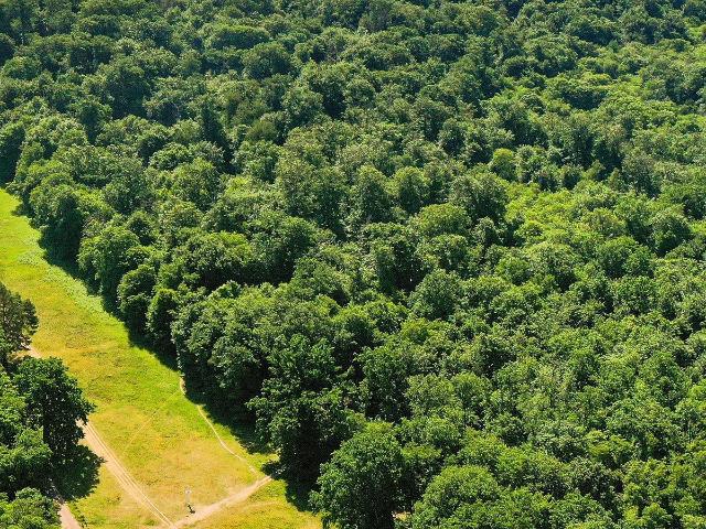 54 PARCELLES DE BOIS 3,5 hectares