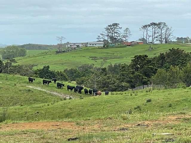 54 Syd Smith Road, Topuni, Kaipara