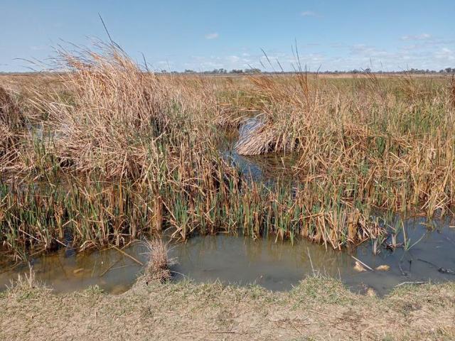552.6 ha Farm in Jan Kempdorp