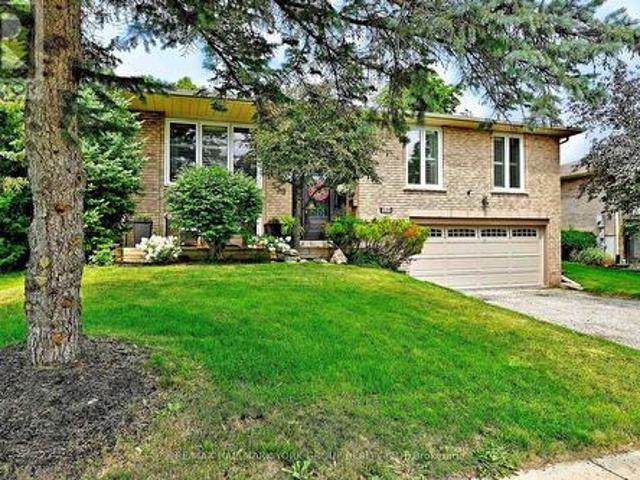 559 Haines Road, Newmarket, ON, L3Y 6V4 house for sale | Listing ID N13616 | Royal LePage