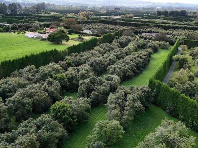 559B Belk Road, Omanawa, Western Bay Of Plenty