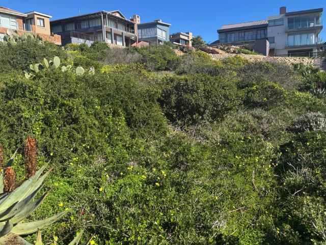 559m² Vacant Land For Sale in Vleesbaai
