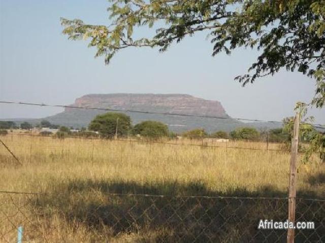 55 ha bushveld farm