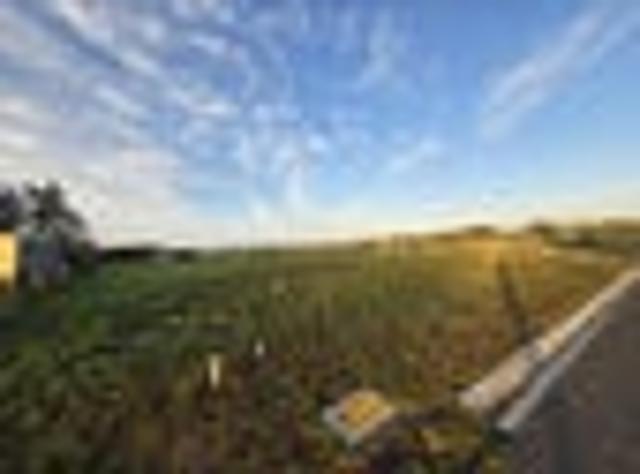 55 Root Street East Lot 2 & 3