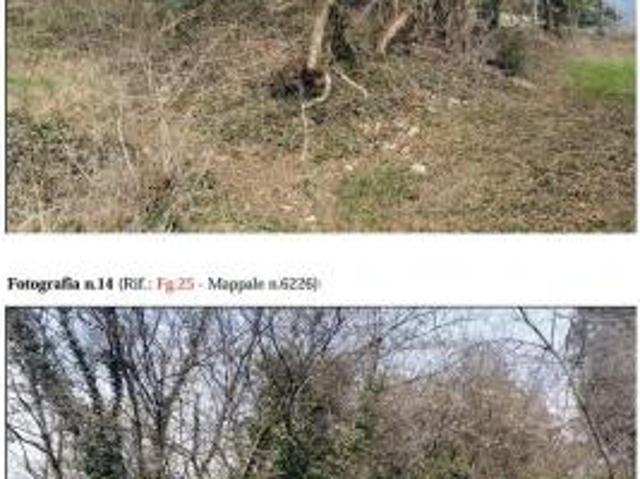 564/2022 2 BS terreno in asta a Borno