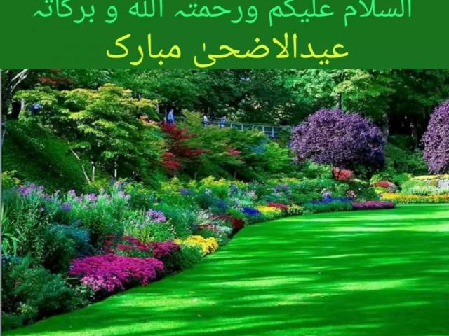 566 +567 plot nomber a block DHA Multan final 12000 Multan DHA Defence ID 14886
