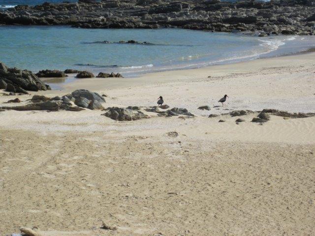 567,000m² Farm For Sale in Humansdorp Rural