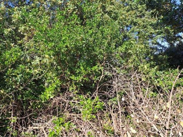567 m² Land available in Aston Bay