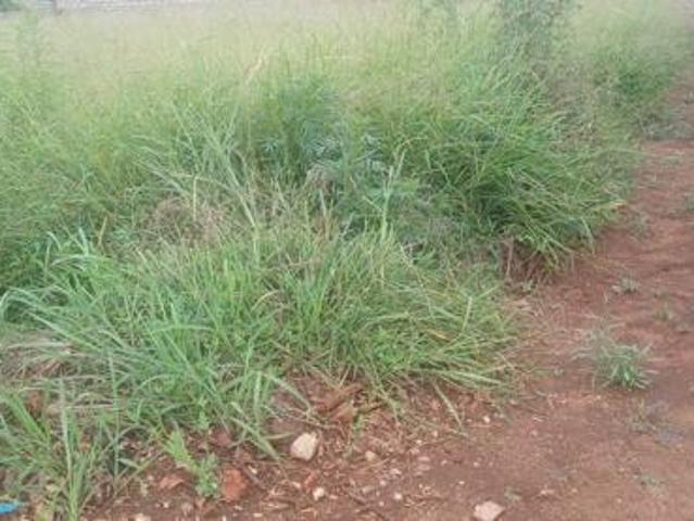 569 m² Land available in Chroom Park