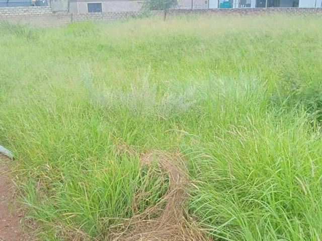 569 m² Land available in Chroom Park