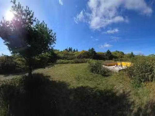 56 North Road, Charlos Cove, NS, B0H 1T0 vacant land for sal.