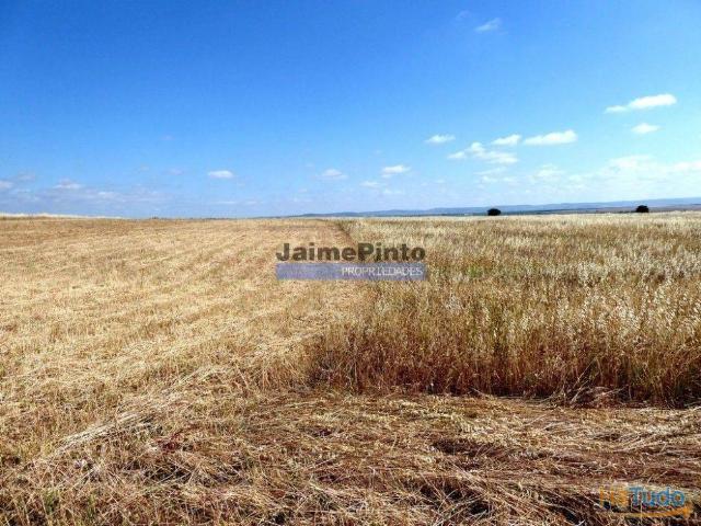 570 000 m2 terra agrícola p/ SEQUEIRO. Portugal, Baixo Alentejo, Beja. | 26063031838