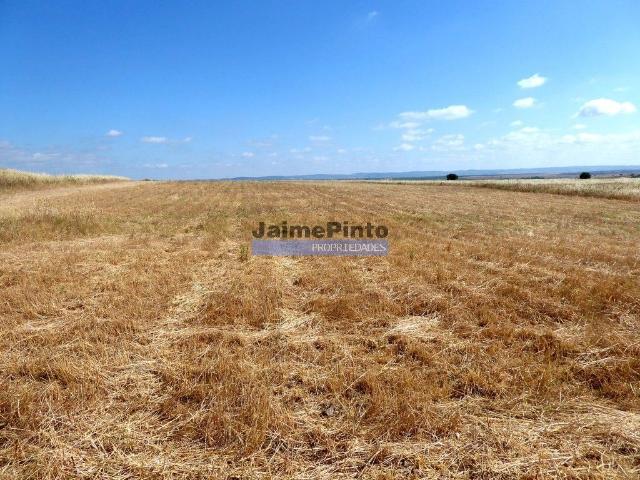 570 000 m2 terra agrícola p/ SEQUEIRO. Portugal, Baixo Alentejo, Beja