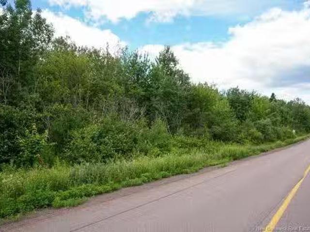 5716 Rte 495, Saint Fabien, NB, E4S 2T2 vacant land for sale.