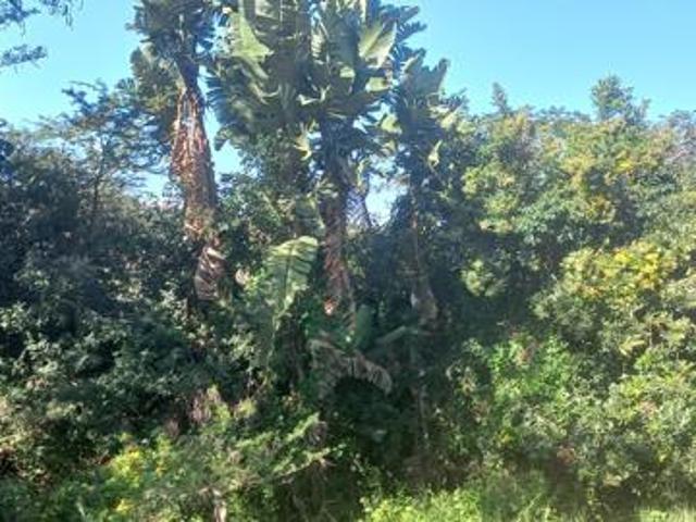 571 m² Land available in Princes Grant Golf Estate