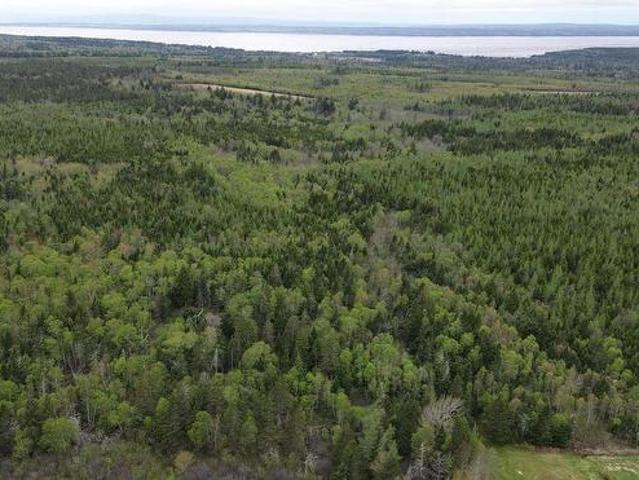 572 German Town Road, Barronsfield, NS, B0L 1G0 vacant land for sale | Listing ID 202617 | Royal LePage