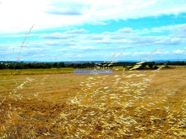 580 000m2 terreno agrícola. Portugal, Guarda, F. C. Rodrigo