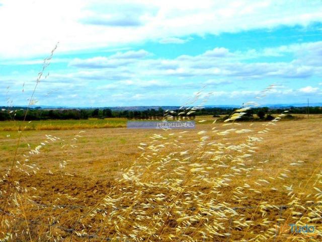580 000m2 terreno agrícola. Portugal, Guarda, F. C. Rodrigo. | 26063241135