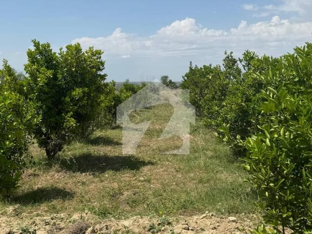 580 Kanal Agricultural Land