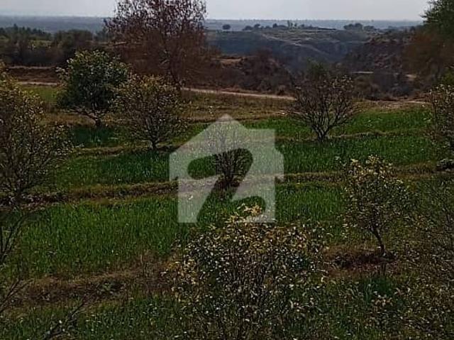 580 Kanal Agriculture Faram House Land For Sale Balksar Interchange Chakwal