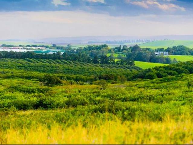 584 m² Land available in Sheffield Beach