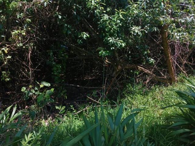 585 m² Land available in Princes Grant Golf Estate